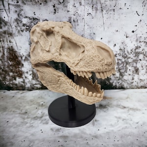 Tyrannosaurus Rex Skull Replica 3D Print – Realistic T-Rex Skull Decor, Dinosaur Fossil Model, Unique Skull Replica Gift