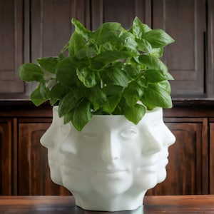 Multi-Face Polyface Planter: Unique 3D-Printed Planter with Drainage, Perfect for Indoor Greenery Decor