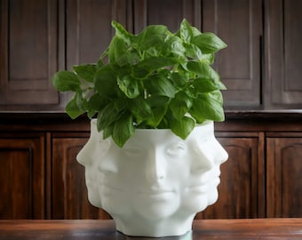 Multi-Face Polyface Planter: Unique 3D-Printed Planter with Drainage, Perfect for Indoor Greenery Decor