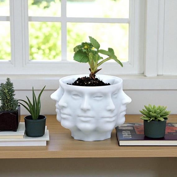 3D Printed Face Planter: Modern Gothic Home Decor