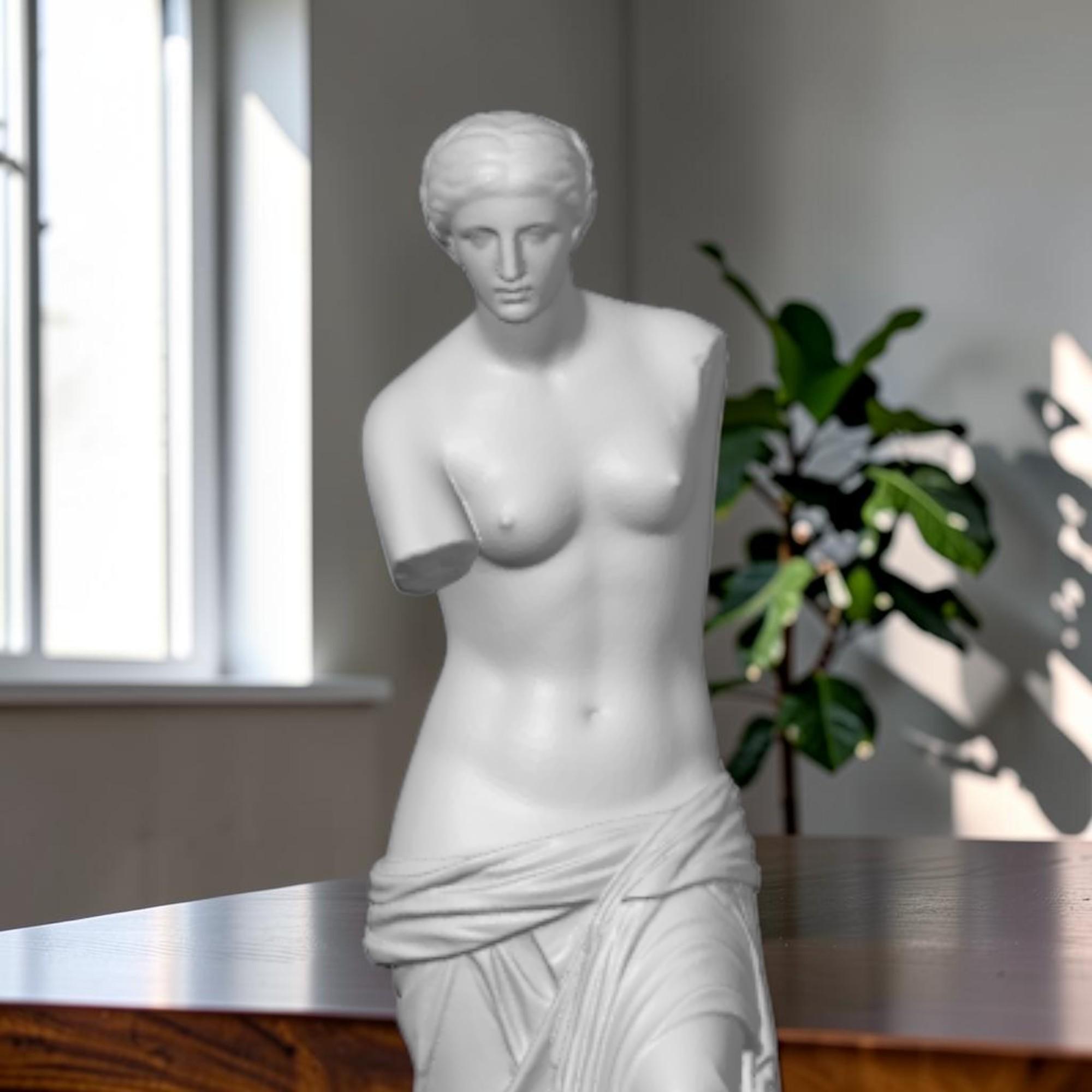 Venus de Milo Statue, Greek Goddess Sculpture with Realistic Stone Finish — photo 1 of 17