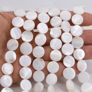 Pode incluir: Um fio de contas redondas de concha branca. As contas são lisas e têm um leve brilho iridescente.