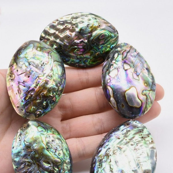 Large Abalone Shell Beads, 35x50mm 20x30mm 15x25mm Paua Shell, Multi Colour Loose Sea Shell Strand Wholesale Genuine Abalone Beads, ABA20XX