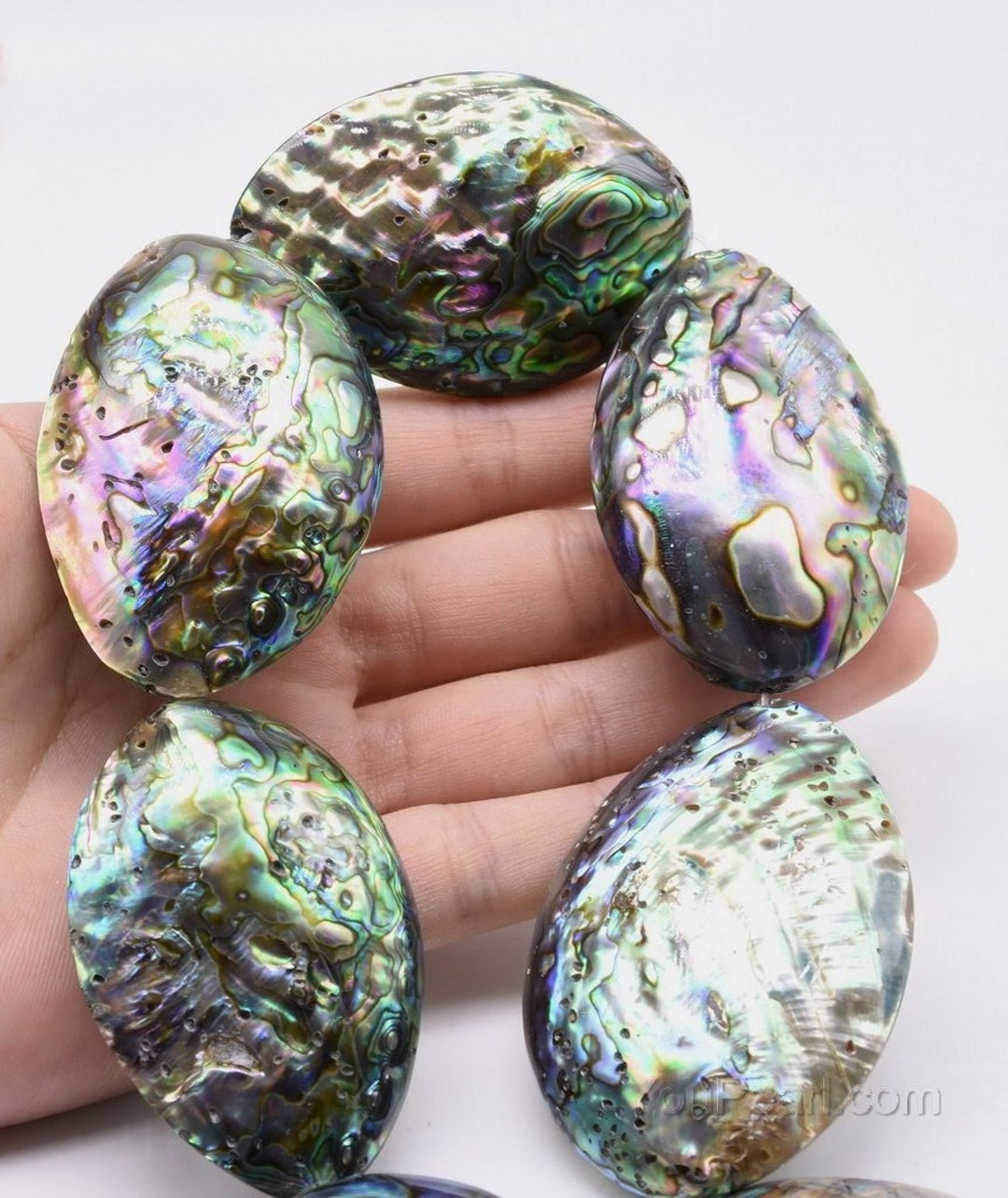 Large Abalone Shell Beads, 35x50mm 20x30mm 15x25mm Paua Shell, Multi ...