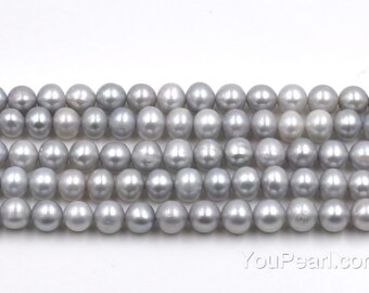 [COLD FRAME] ☆ / EVERYDAY GREY PEARLS EVERYDAY GREY PEARLS