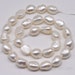 see more listings in the Baroque Keshi Biwa Pearl section