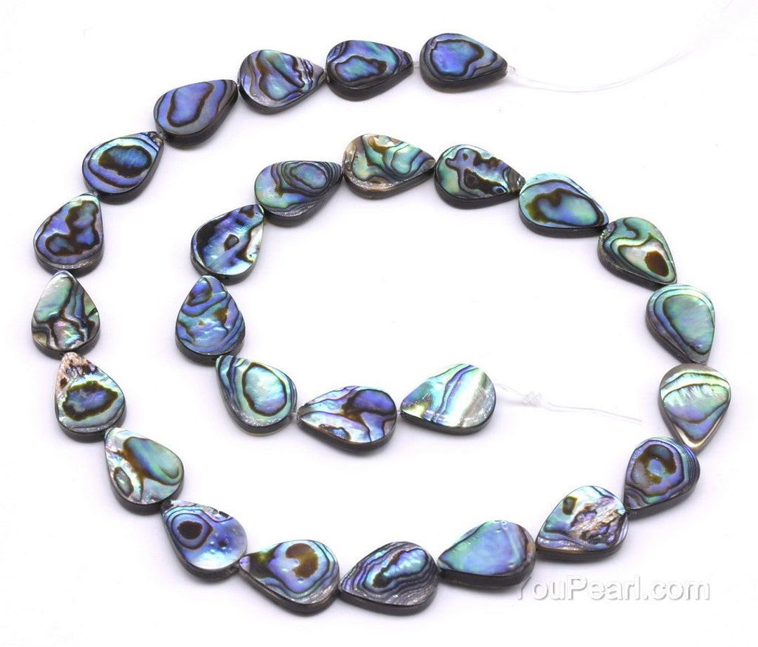 10x14mm Abalone Shell Beads, Teardrop Shape Paua Shell, Rainbow Abalone ...
