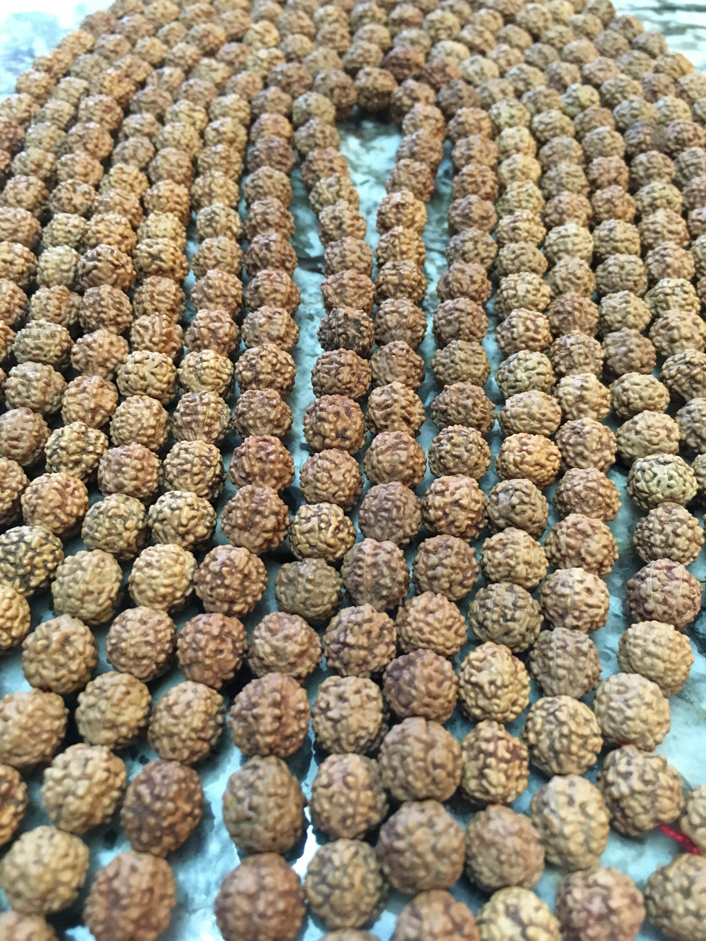 Rudraksha 10mm Pure Natural Untreated Rudraksha Beads Mukhi Etsy