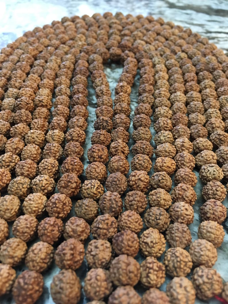 Rudraksha 10mm Pure Natural Untreated Rudraksha Beads Mukhi Etsy