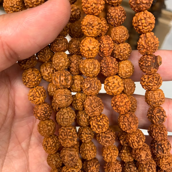 10mm Rudraksha Natural Seed Beads, Authentic Mukhi Rudraksha, 108 Beads 41 Inch Strand, Spiritual Jewelry