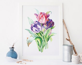 violet and blue pansy