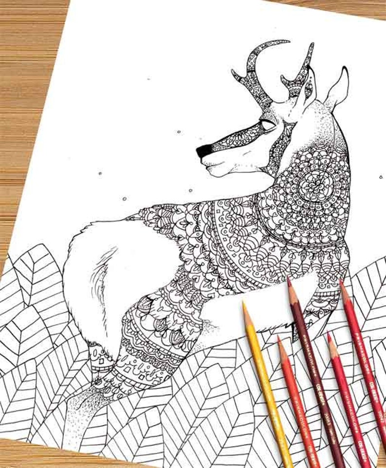 Printable Adult Coloring Page Mandala Pronghorn Antelope ...