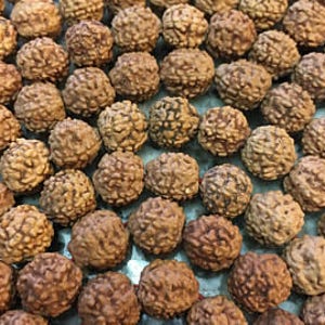 Rudraksha Beads, 10mm 105-110 Pure Natural Untreated Rudraksha, Mala Beads, Rudraksha Seed Beads, Upolished Rudraksha ,38-40 Inches long.