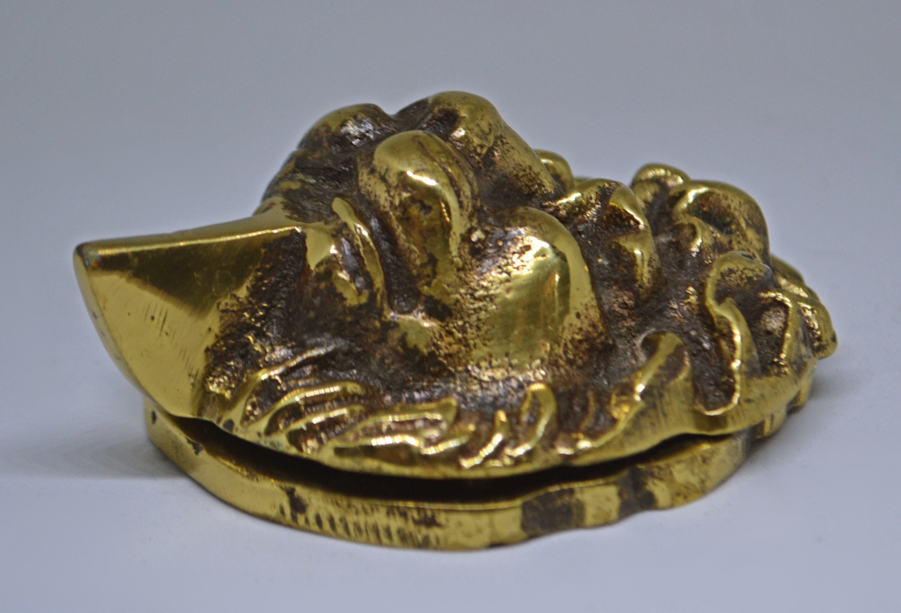 Brass Lion Head Door Knocker - Etsy
