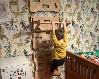 Panneau mural d'escalade modulaire pour enfants : salle de sport à domicile en contreplaqué de bouleau