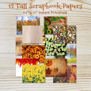 Fall Digital paper pages scrapbook paper pack of 12 printable, instant download, photo, autumn, 8.5&quot; x 11&quot;,  flowers background