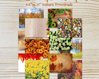 Fall Digital paper pages scrapbook paper pack of 12 printable, instant download, photo, autumn, 8.5" x 11",  flowers background
