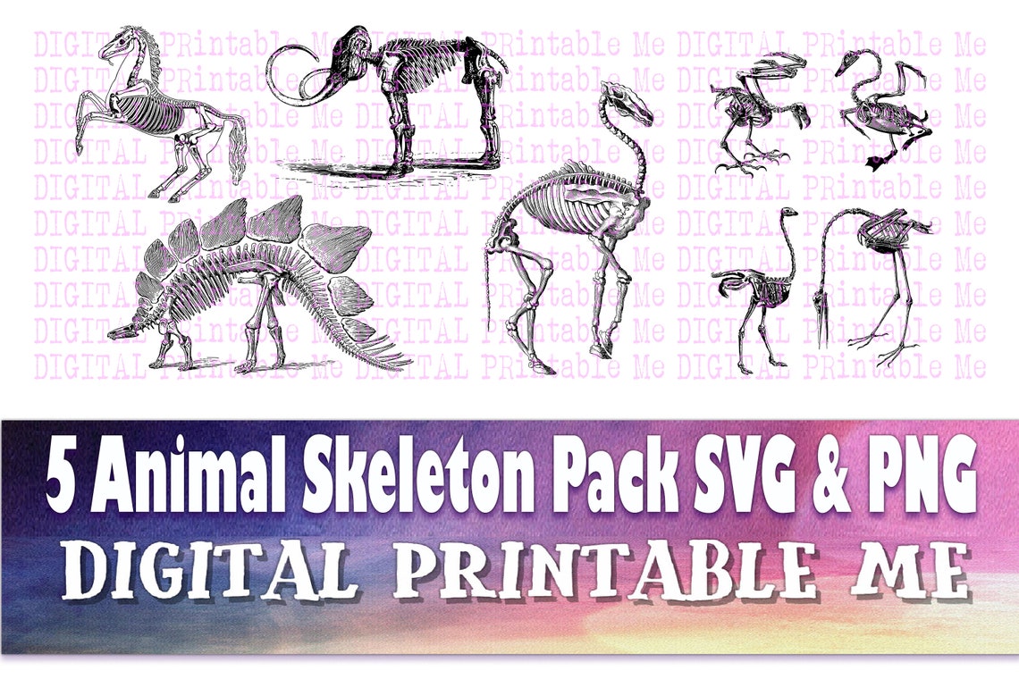 Animal Skeleton Clip Art Pack SVG PNG 5 Images Pack Instant Etsy