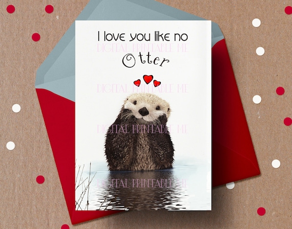 Un amour de loutre