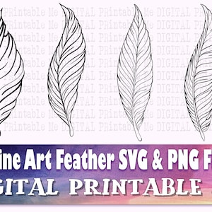 Pacchetto di illustrazioni di piume SVG, Silhouette PNG, penna d'uccello, pacchetto di clipart, 4 immagini, download istantaneo, contorno di disegno,
