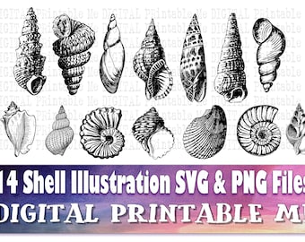 Shell-Linie Kunst, SVG-Bundle, Strand Zeichnung PNG, 14 Bild-Pack, Instant Download, digital, Vektor, s, Ozean, Sommerurlaub, diy, Meer