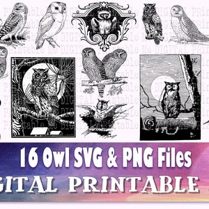 Paquete de búho SVG, paquete PMG, clip art, 16 imágenes, descarga instantánea, digital, vector imprimible, ave de presa, dibujo vintage, ilustración