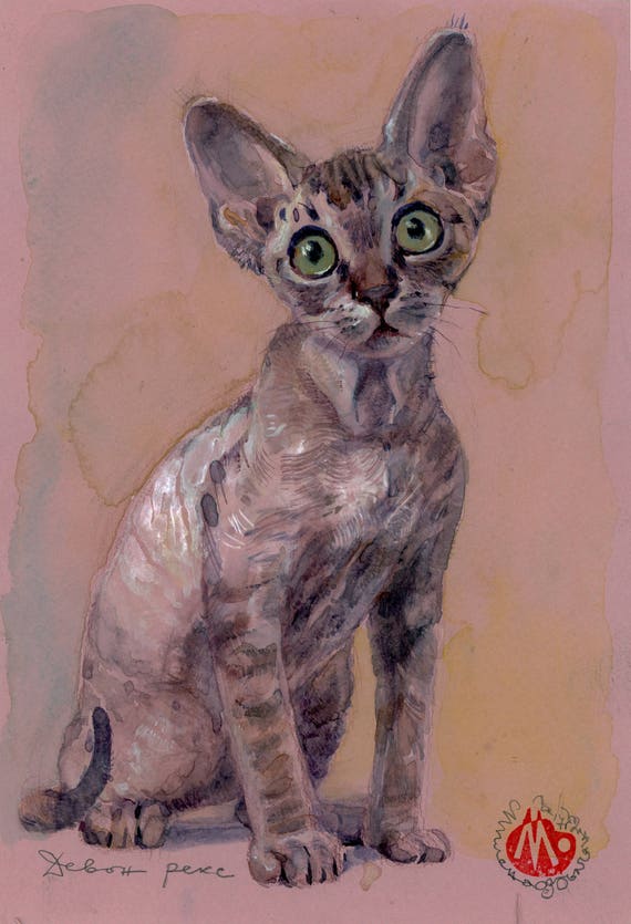 Devon Rex Cat Painting Cat Art Print Of Watercolour Painting Etsy