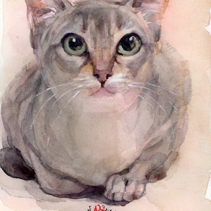 Singapura cat-delightful delicate-looking cat-PRINT of my Watercolor Painting- Unique gift for cat lovers-For Her-One of a kind-Pet portrait
