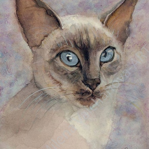 Siamese White cat painting LIMITED EDITION Art PRINT of my watercolor painting cat artwork cat decor wall art White Cat Watercolor