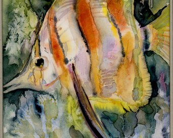 Fish, Print of original watercolor,  Watercolor Painting Ocean Fish, Gift Idea , 9,6"x13,7"(24,5/35sm)