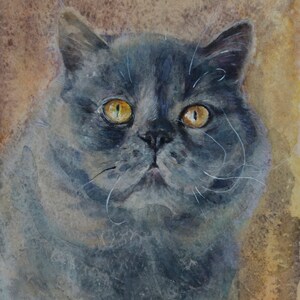 British shorthaired cat -LIMITED edition signed and stamped fine art PRINT-for her-cat watercolor painting