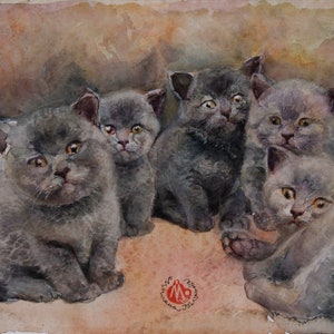 British Shorthair five little kitten-Unique CAT art   Watercolor  wall art for home  cat painting  Unique gift for cat lovers  For her