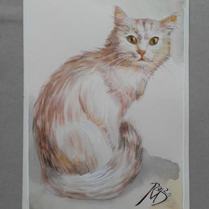 SALE 20%White cat watercolor-5&quot;x7&quot;( 13x18sm)- Original Artwork Cat Painting- One of a kind