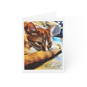 Cat Curled Up to Sleep, Blank Note Cards, Greeting Cards, Stationery (1, 10, 30, and 50pcs)