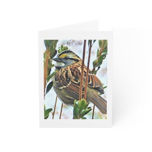 Weißkehlsperling Grußkarten | Vogel-Fotografie Grußkarten | Nature Briefpapier Set (1, 10, 30, 50 Stück)