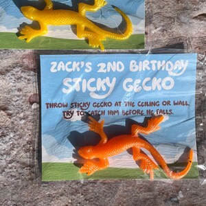 Assembled Or Cards Only Option At Checkout | Sets of 12 | Sticky Gecko Birthday Favor | Personalized Classroom Gift | Custom Order