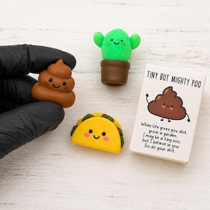 Employee Appreciation | Coworker Gifts | Thank You Gifts | Bulk Gifts | Staff Appreciation Gifts | Team Gifts | Office Gifts image 11
