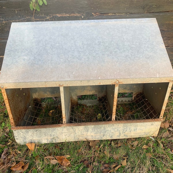 Chicken Coop Etsy