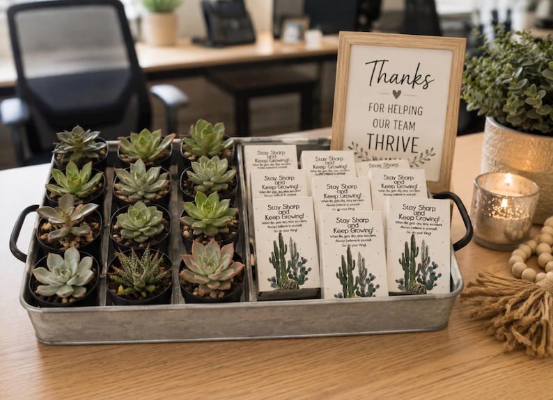 Employee Appreciation | Coworker Gifts | Thank You Gifts | Bulk Gifts | Staff Appreciation Gifts | Team Gifts | Office Gifts 10 Cactus Gifts