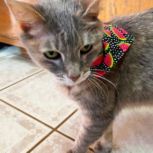 Watermelon Polka Dot Dog/Cat Bandana image 3