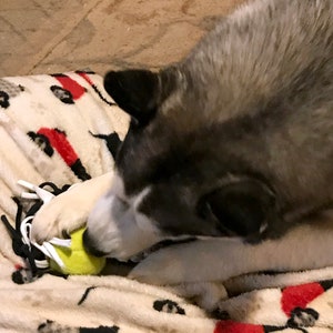 Handmade Dog Pull Toy with Tennis Ball from Recycled Materials image 5