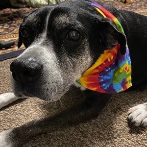 Plush Rainbow Tie-Dye Print Dog/Cat Bandana image 2