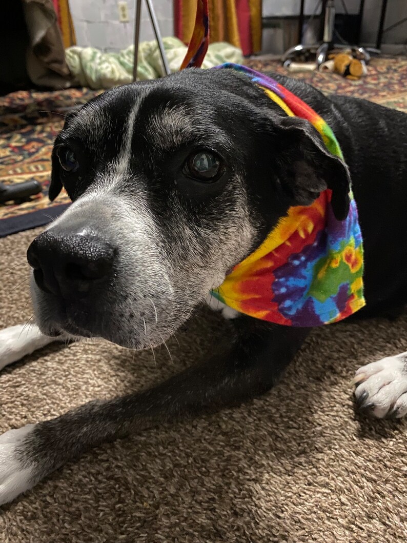 Plush Rainbow Tie-Dye Print Dog/Cat Bandana image 2