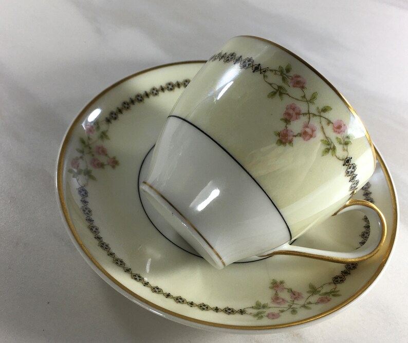 Antique Theodore Haviland Limoges France Demitasse Cup and Saucer, Mark Dates From 1893 to Early