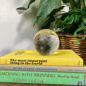 Glass globe paperweight