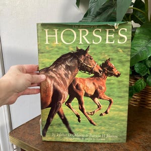 May include: A hardcover book titled "The Treasury of Horses" featuring a brown horse and a foal on a green background. The book's cover has the title in large white letters and the authors' names.