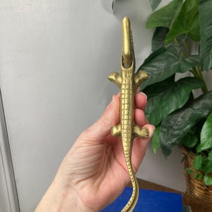 May include: A brass alligator-shaped bottle opener. The opener is gold-colored and features a textured body, small legs, and a curved tail. The alligator is held in a hand, with a background of books and greenery.
