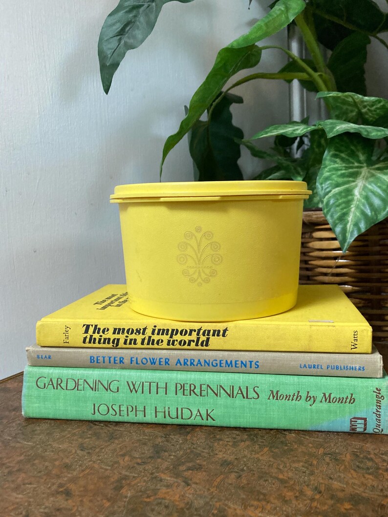 Yellow Tupperware Container - Etsy