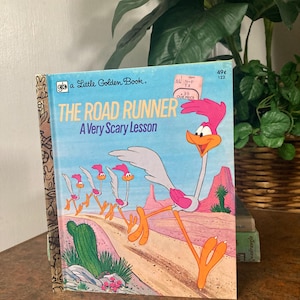 The roadrunner a very scary lesson