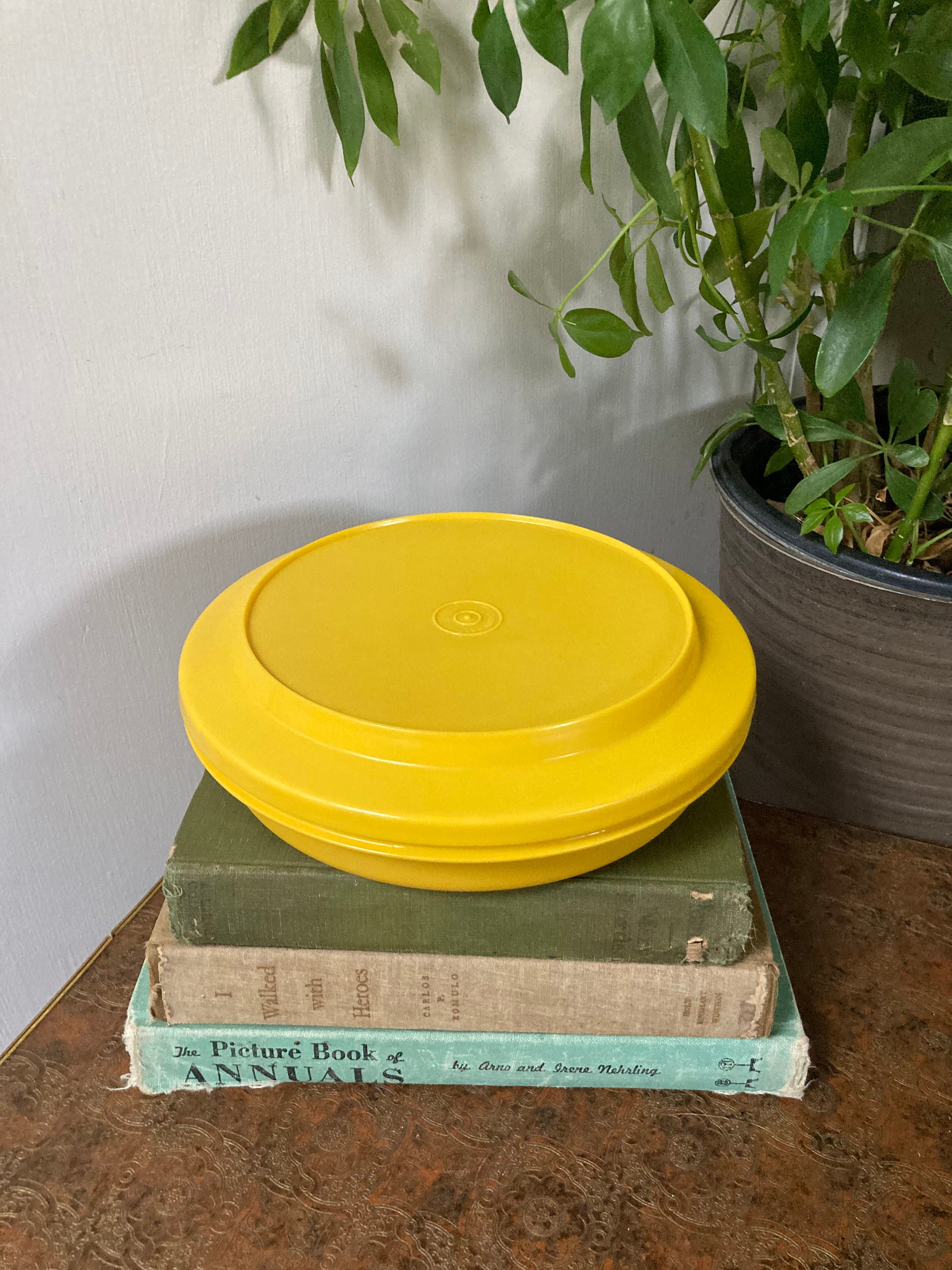Flat Yellow Tupperware Container - Etsy